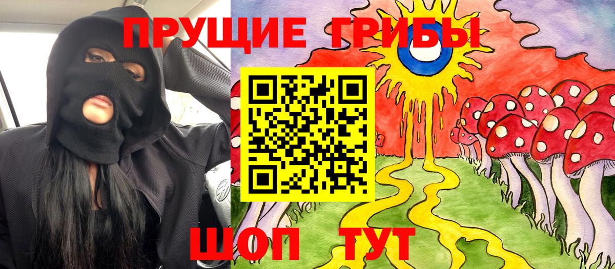 Будённовск  Псилоцибиновые грибы Magic Shrooms  Псилоцибиновые грибы Cubensis  Вход с VPN 