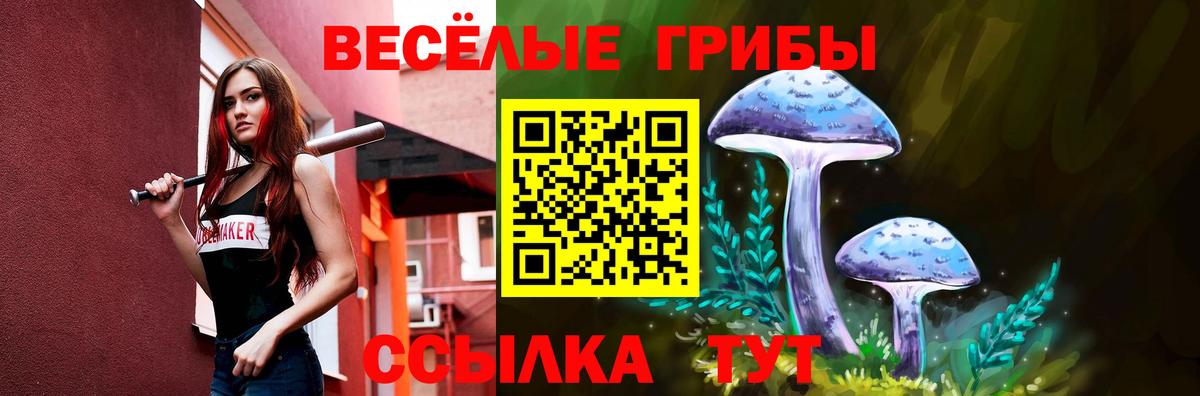 Псилоцибиновые грибы MAGIC MUSHROOMS Будённовск
